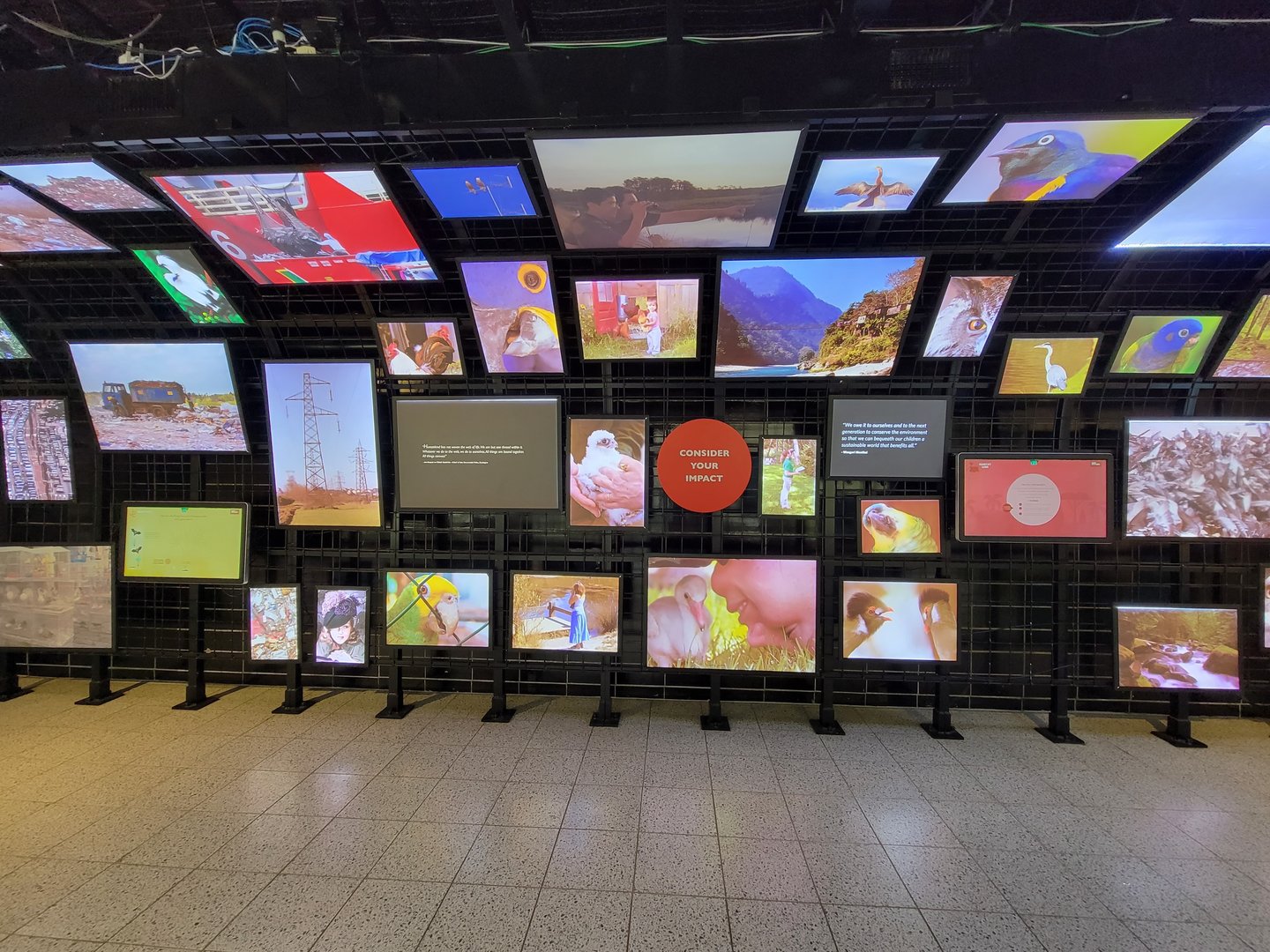 National Aviary - Canary's Call, Interpretive displays