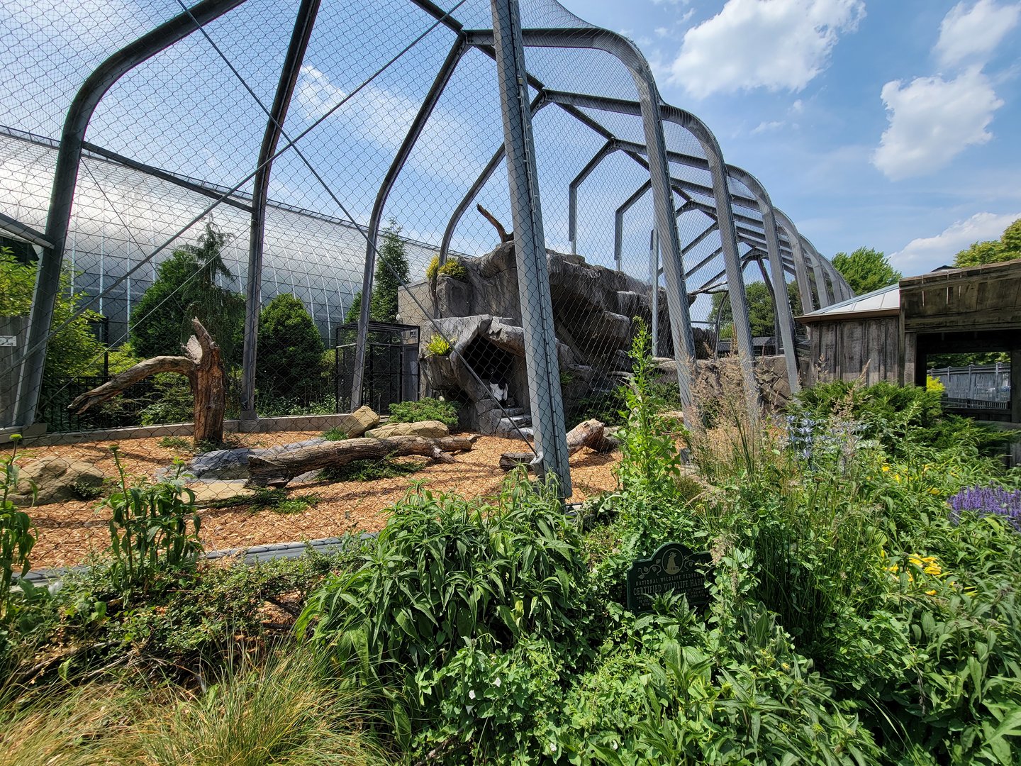 National Aviary - Condor Court, Andean Condor exhibit #1