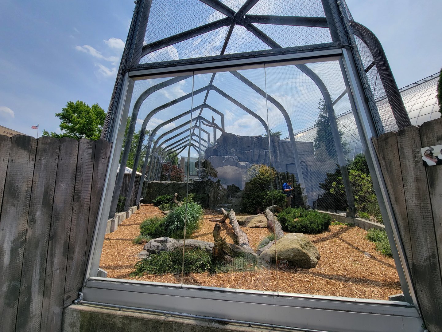 National Aviary - Condor Court, Andean Condor exhibit #2