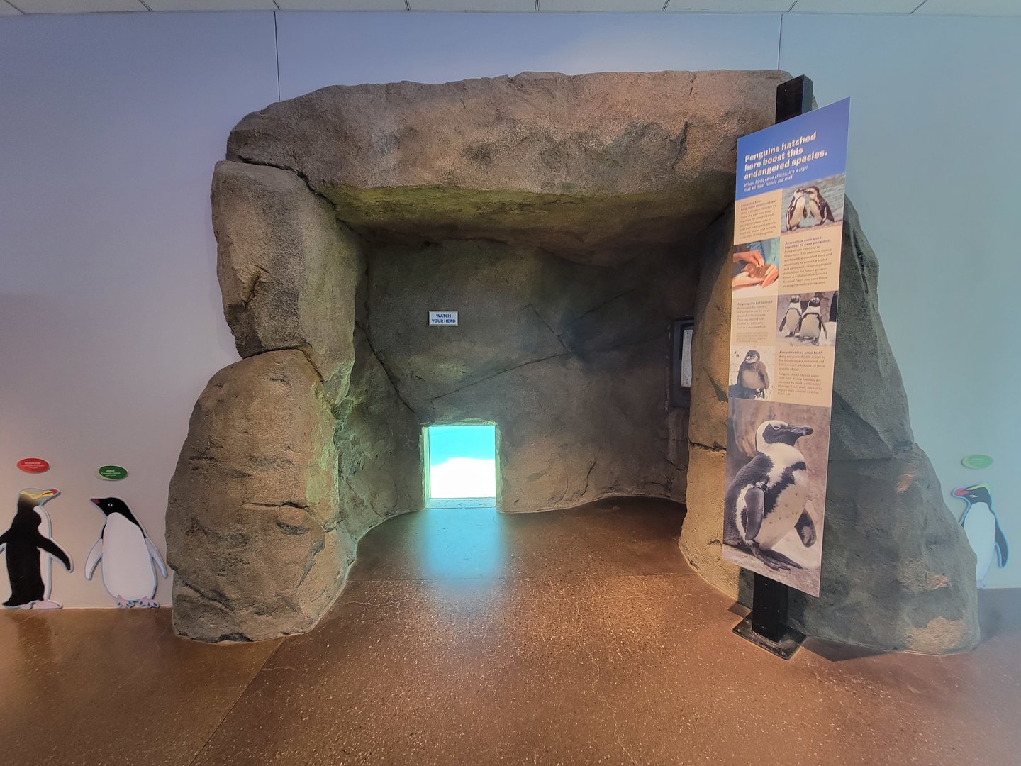 National Aviary - Eagle Hall, another penguin viewing window