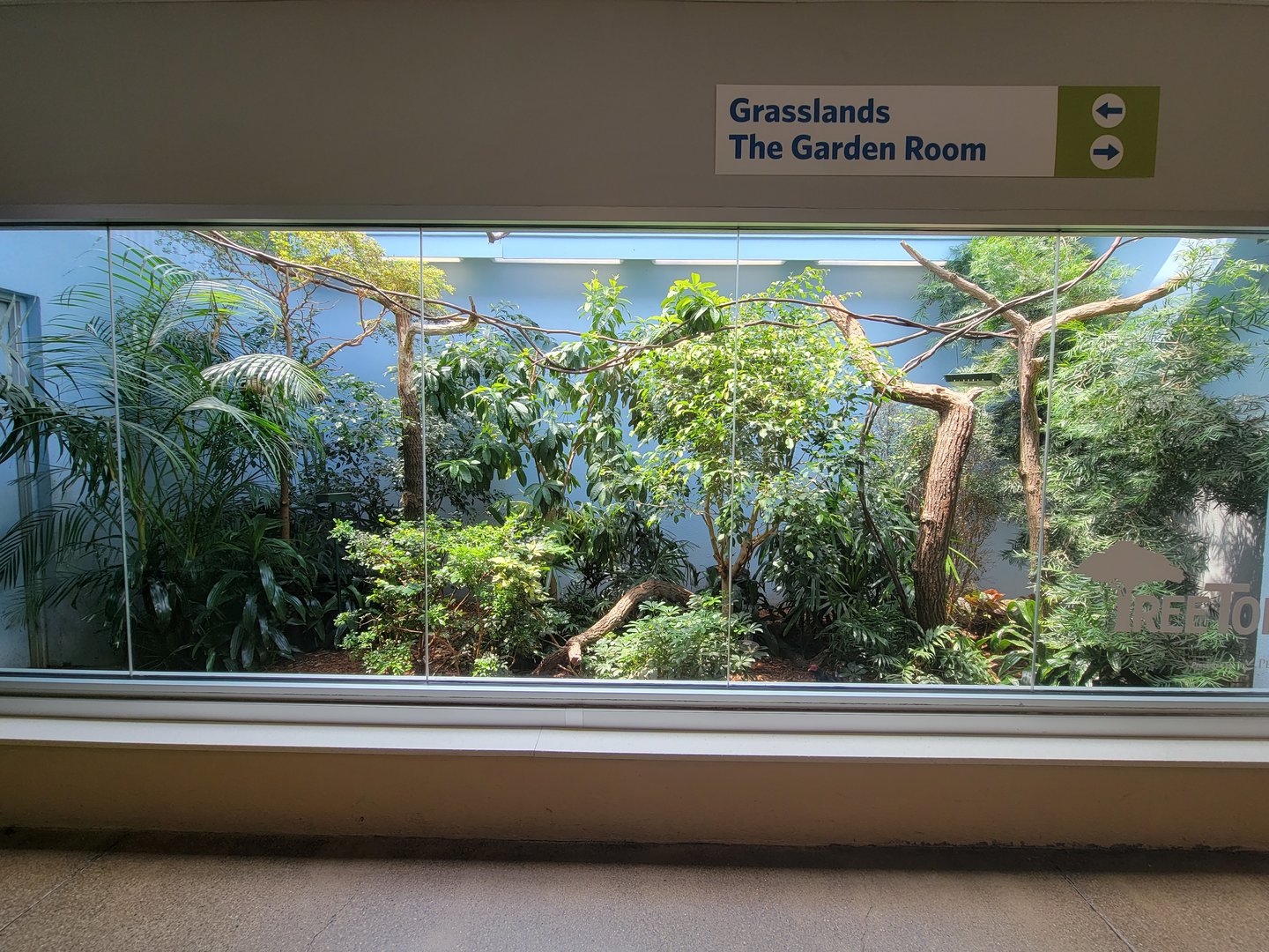 National Aviary - Eagle Hall, Toco toucan and Edwards/Vietnam pheasant