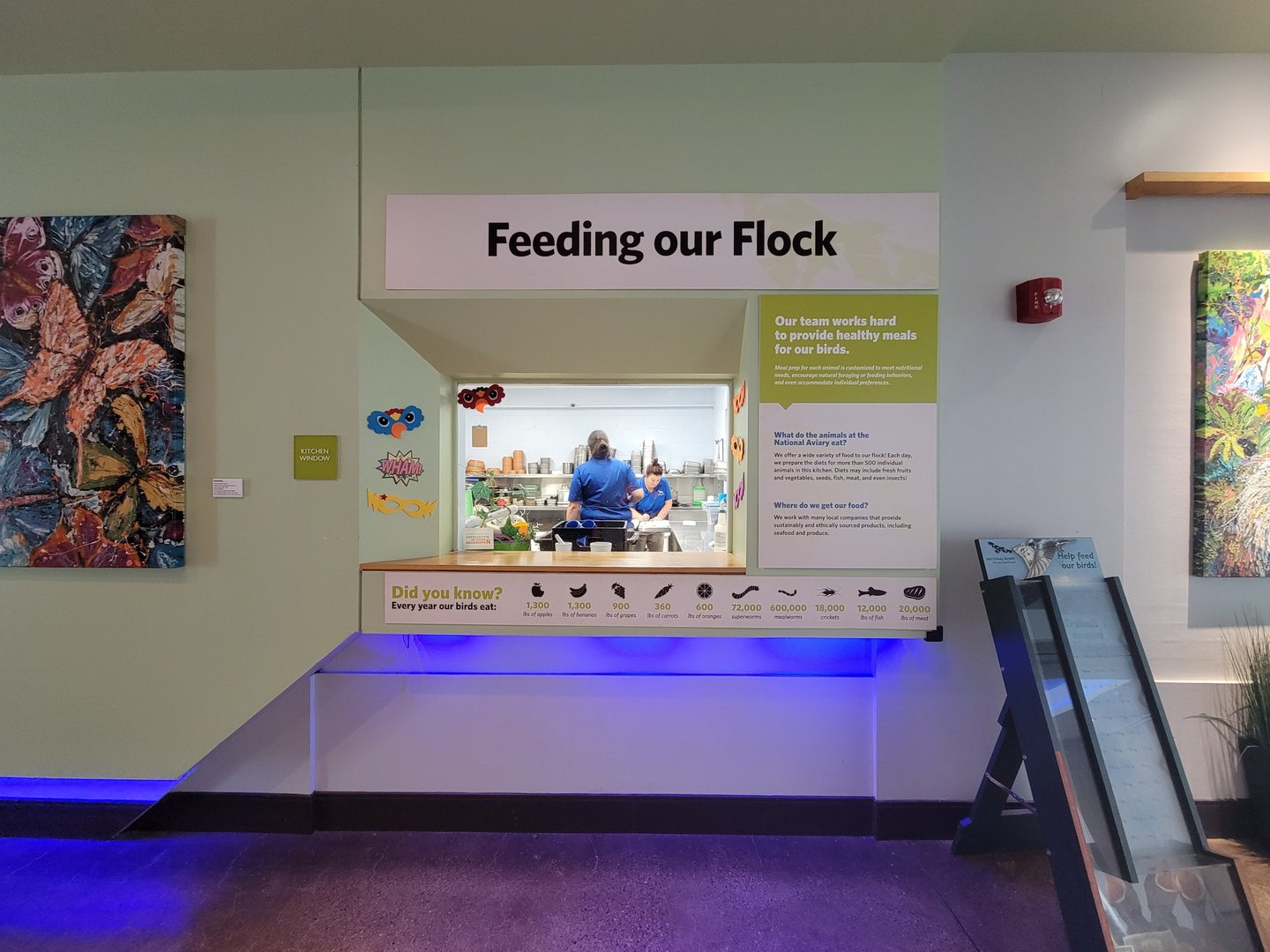National Aviary - Eagle Hall, window to view kitchen