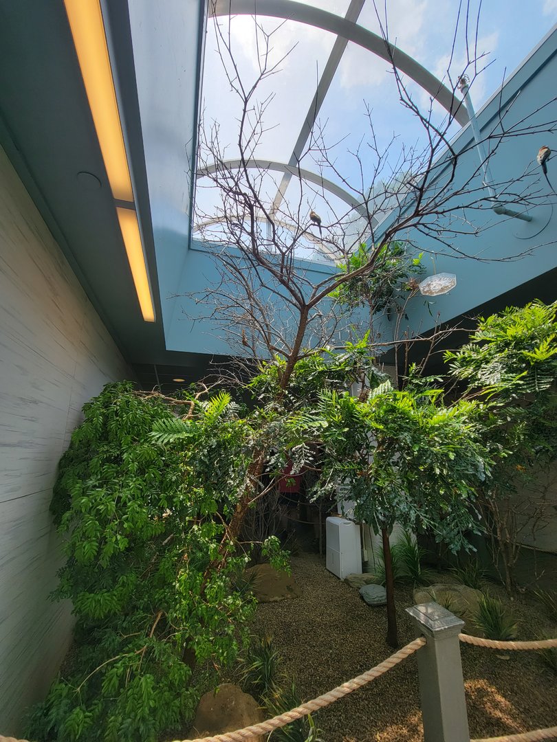 National Aviary - Grasslands