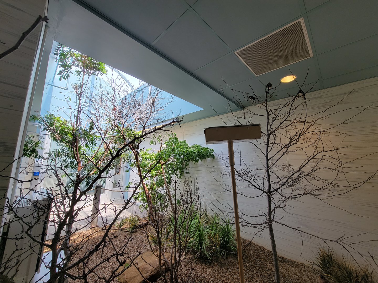 National Aviary - Grasslands