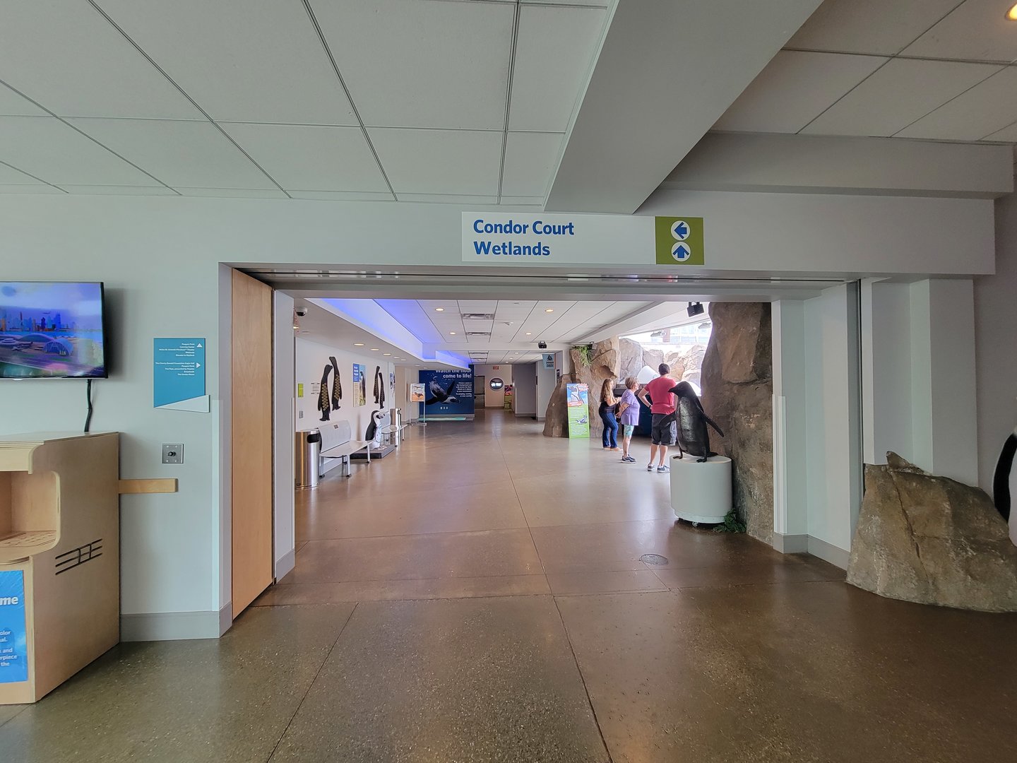 National Aviary - Penguin Point, African penguins