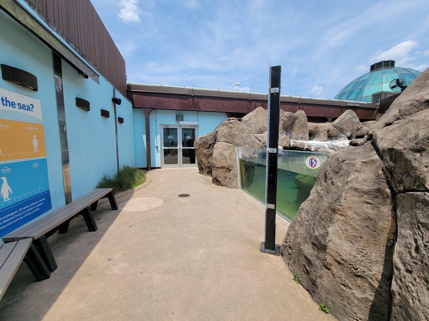 National Aviary - Penguin Point, African penguins