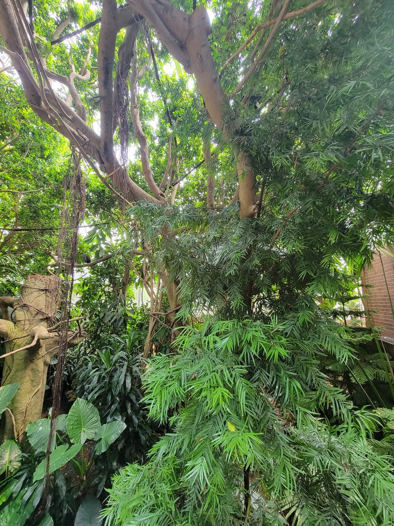 National Aviary - Tropical Rainforest