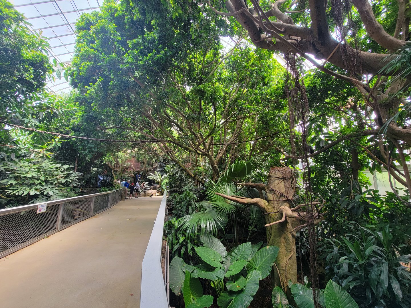 National Aviary - Tropical Rainforest