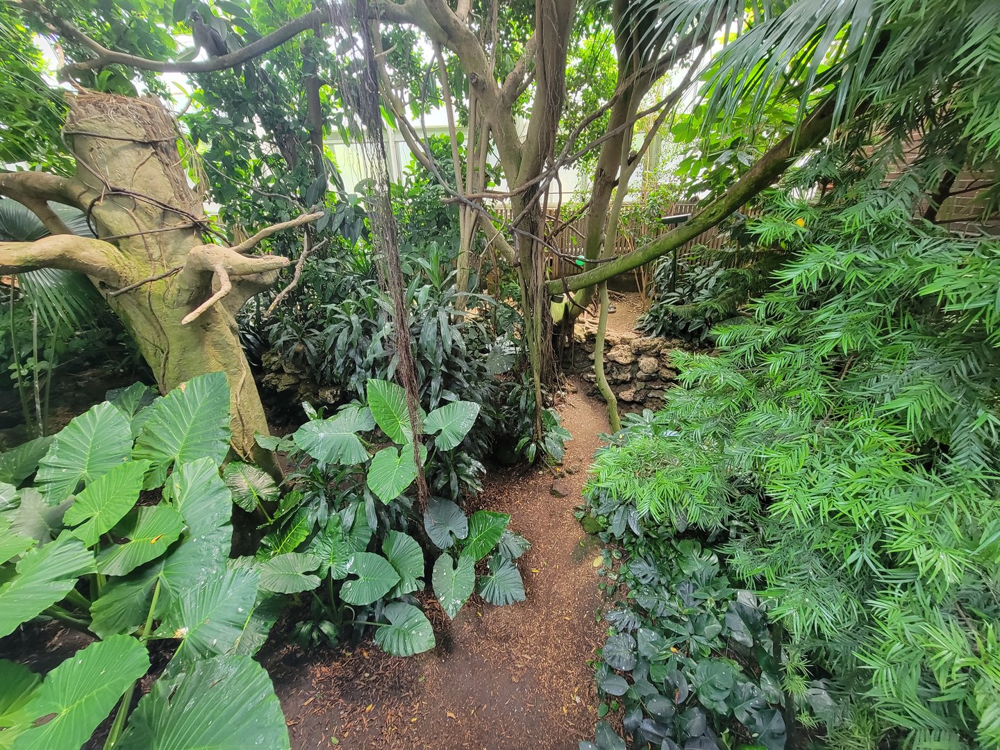 National Aviary - Tropical Rainforest