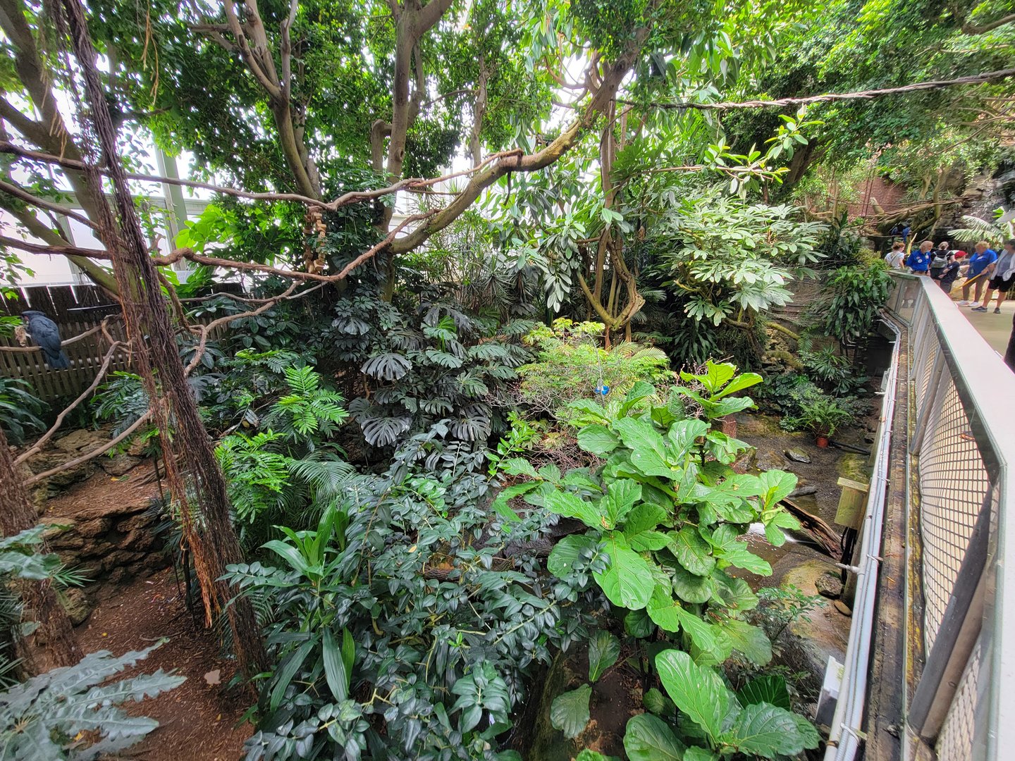 National Aviary - Tropical Rainforest