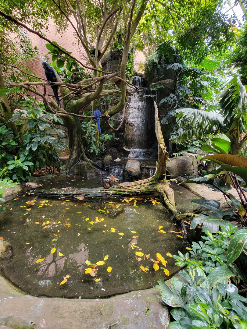 National Aviary - Tropical Rainforest