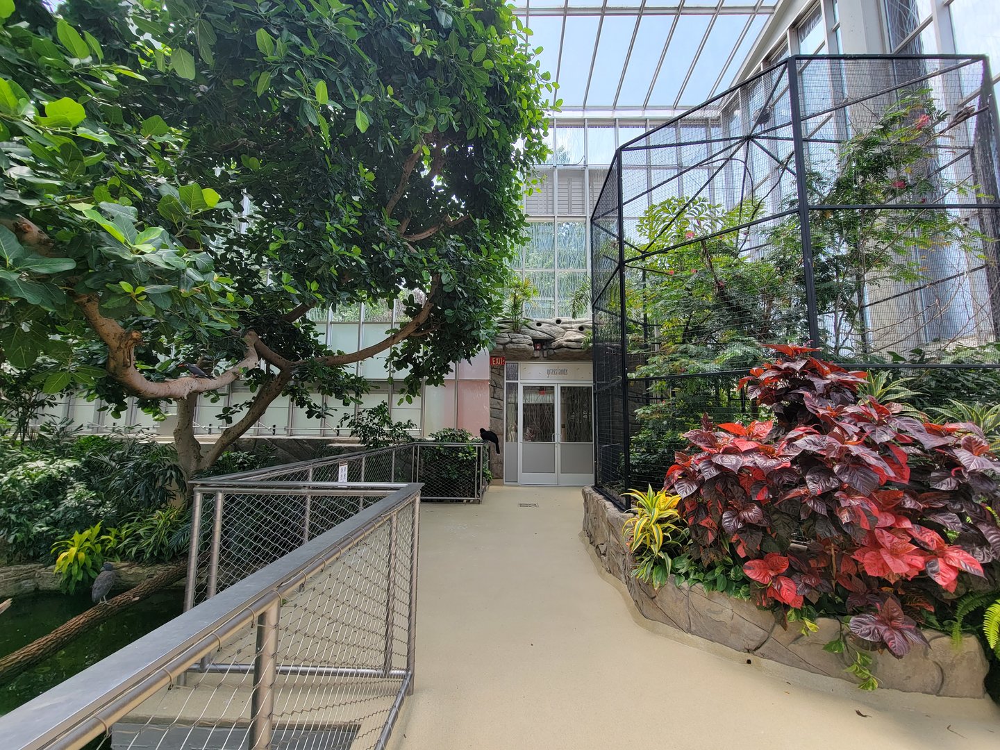 National Aviary - Wetlands, door to Grasslands