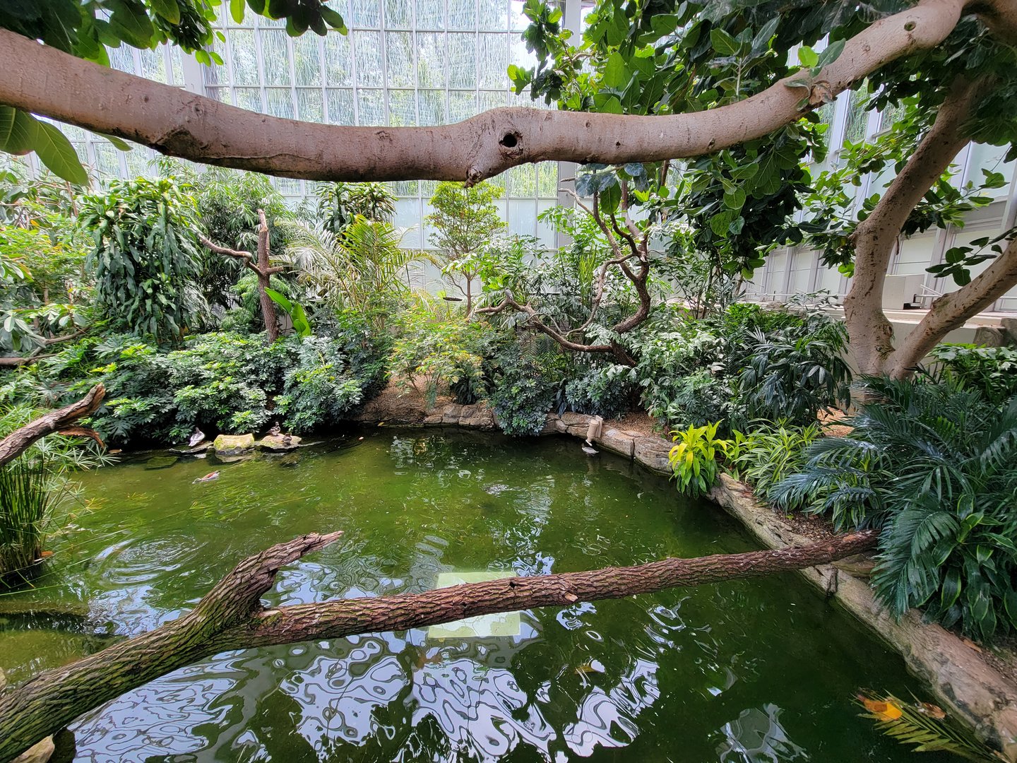 National Aviary - Wetlands