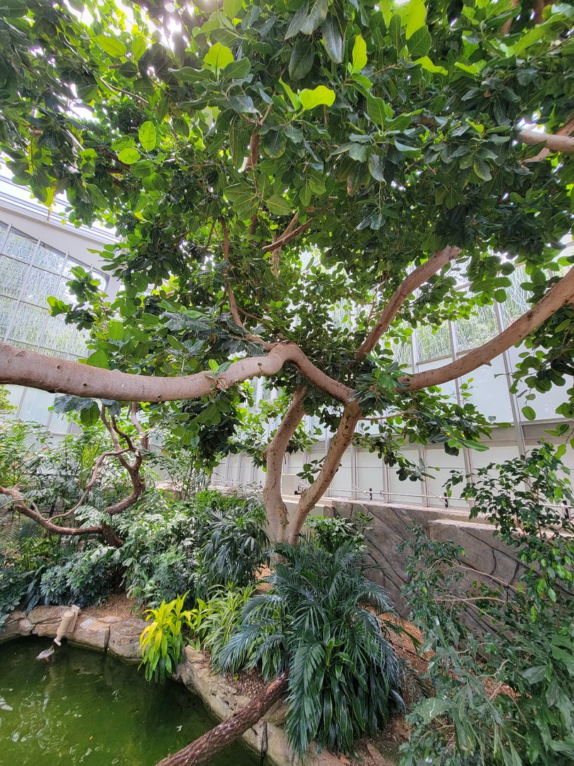 National Aviary - Wetlands