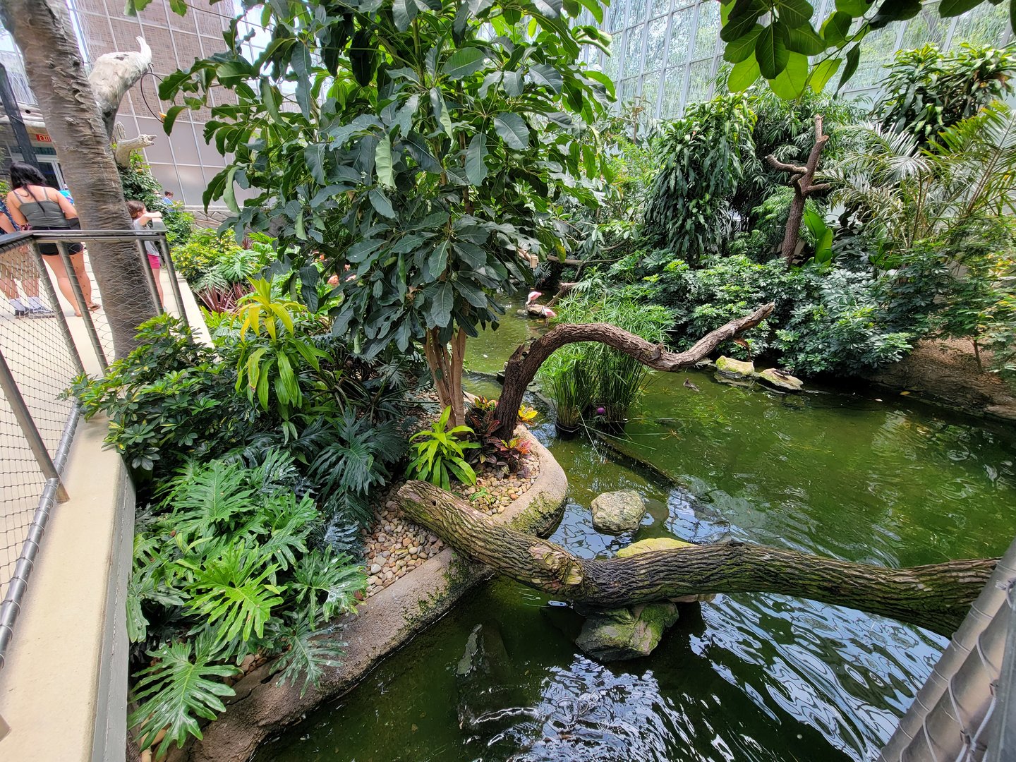 National Aviary - Wetlands