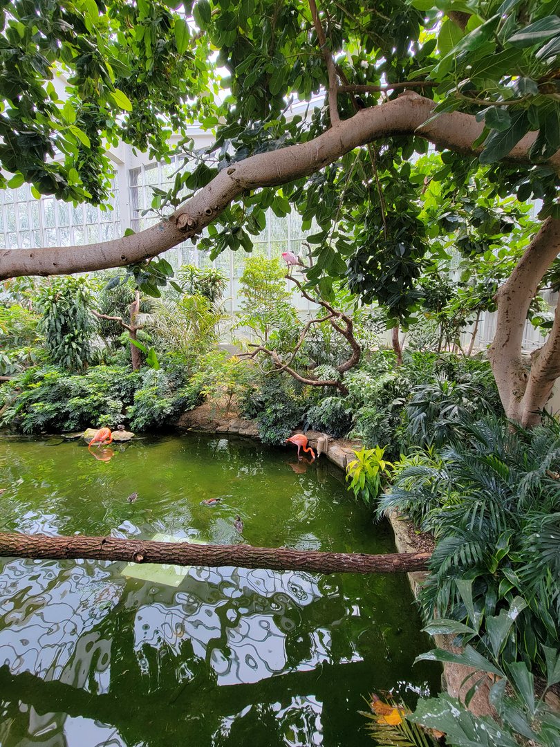 National Aviary - Wetlands