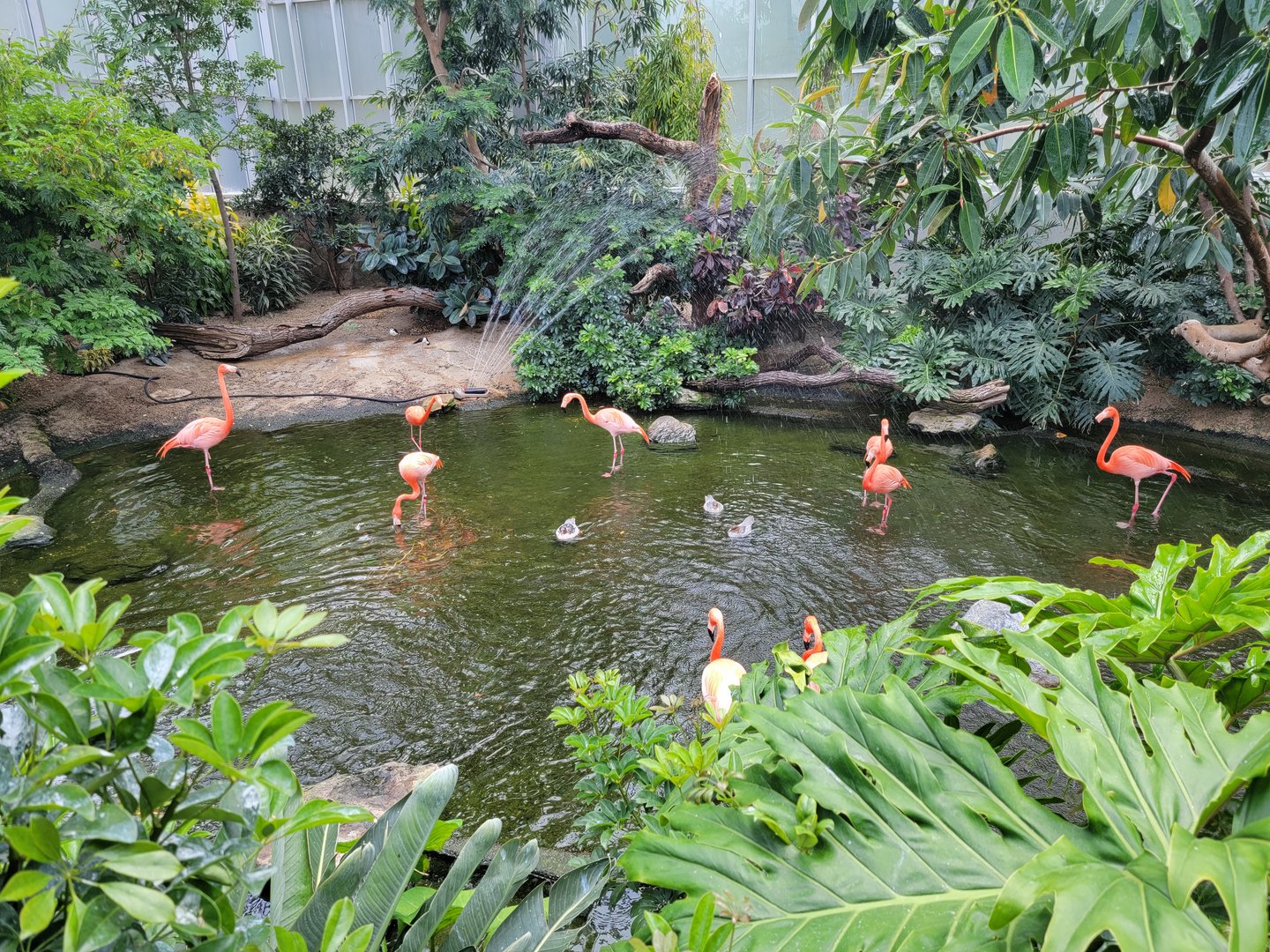 National Aviary - Wetlands