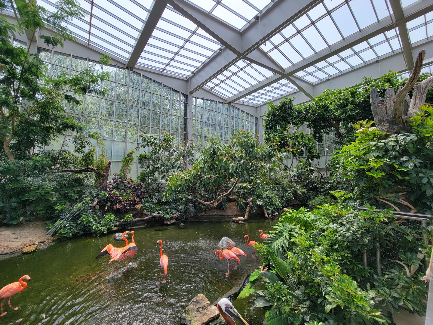 National Aviary - Wetlands