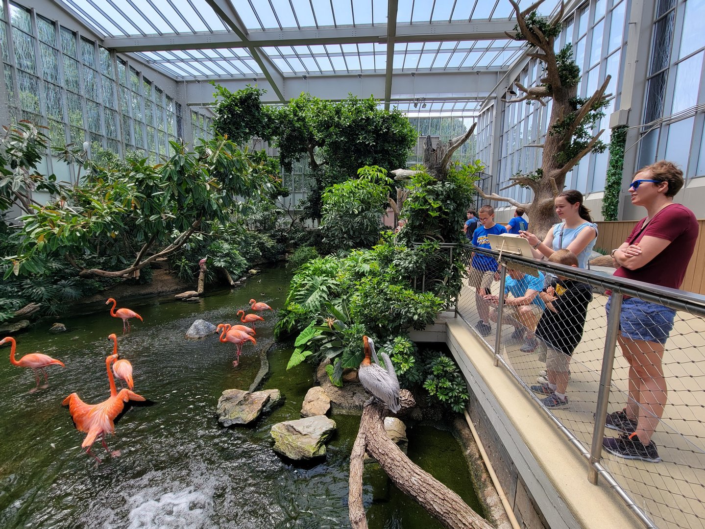 National Aviary - Wetlands
