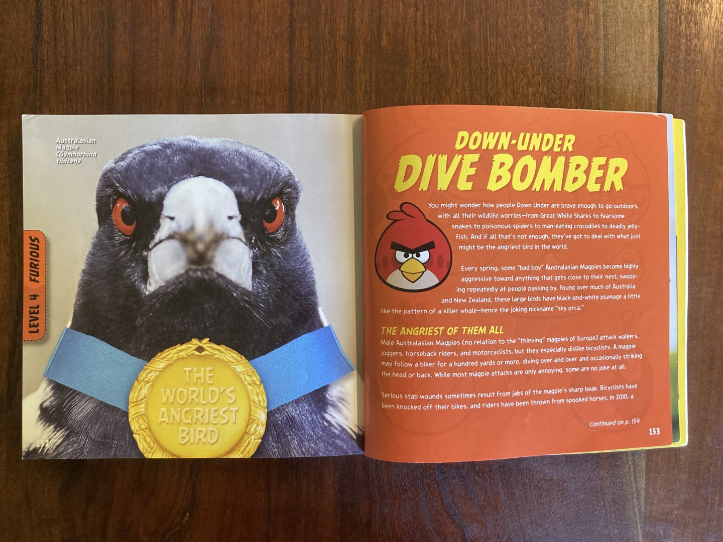 National Geographic Angry Birds—Australian Magpie 1