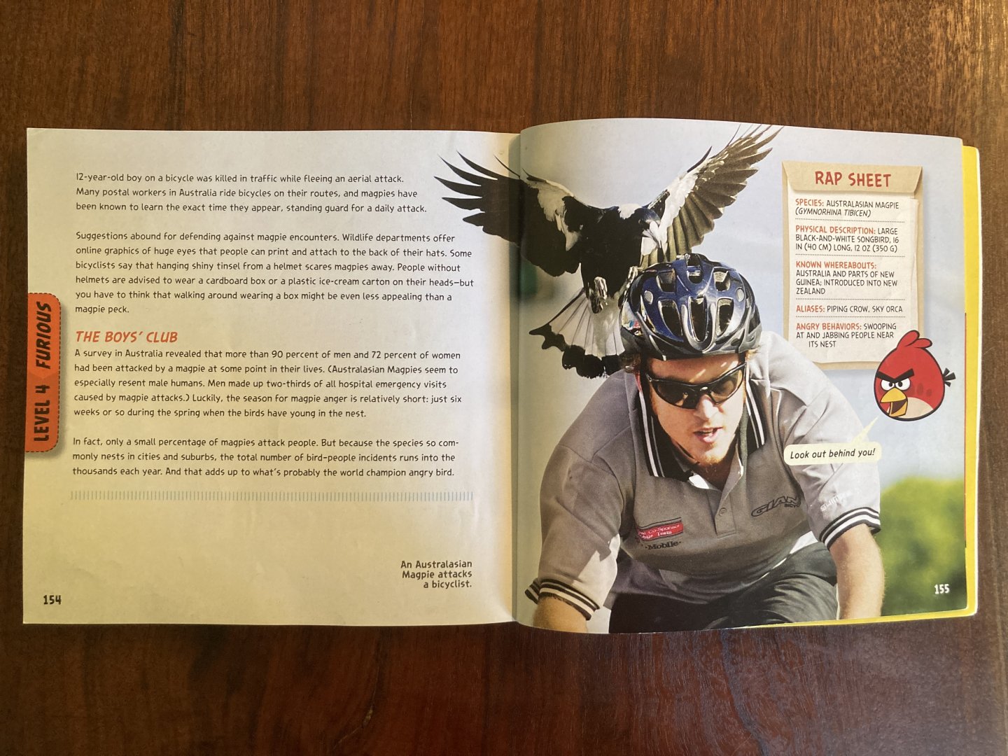 National Geographic Angry Birds—Australian Magpie 2