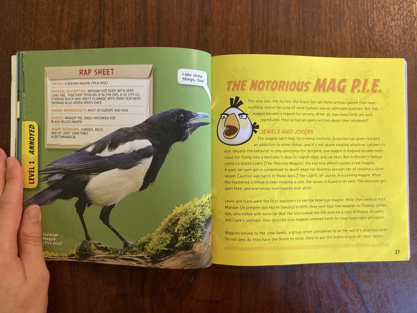 National Geographic Angry Birds—Eurasian Magpie