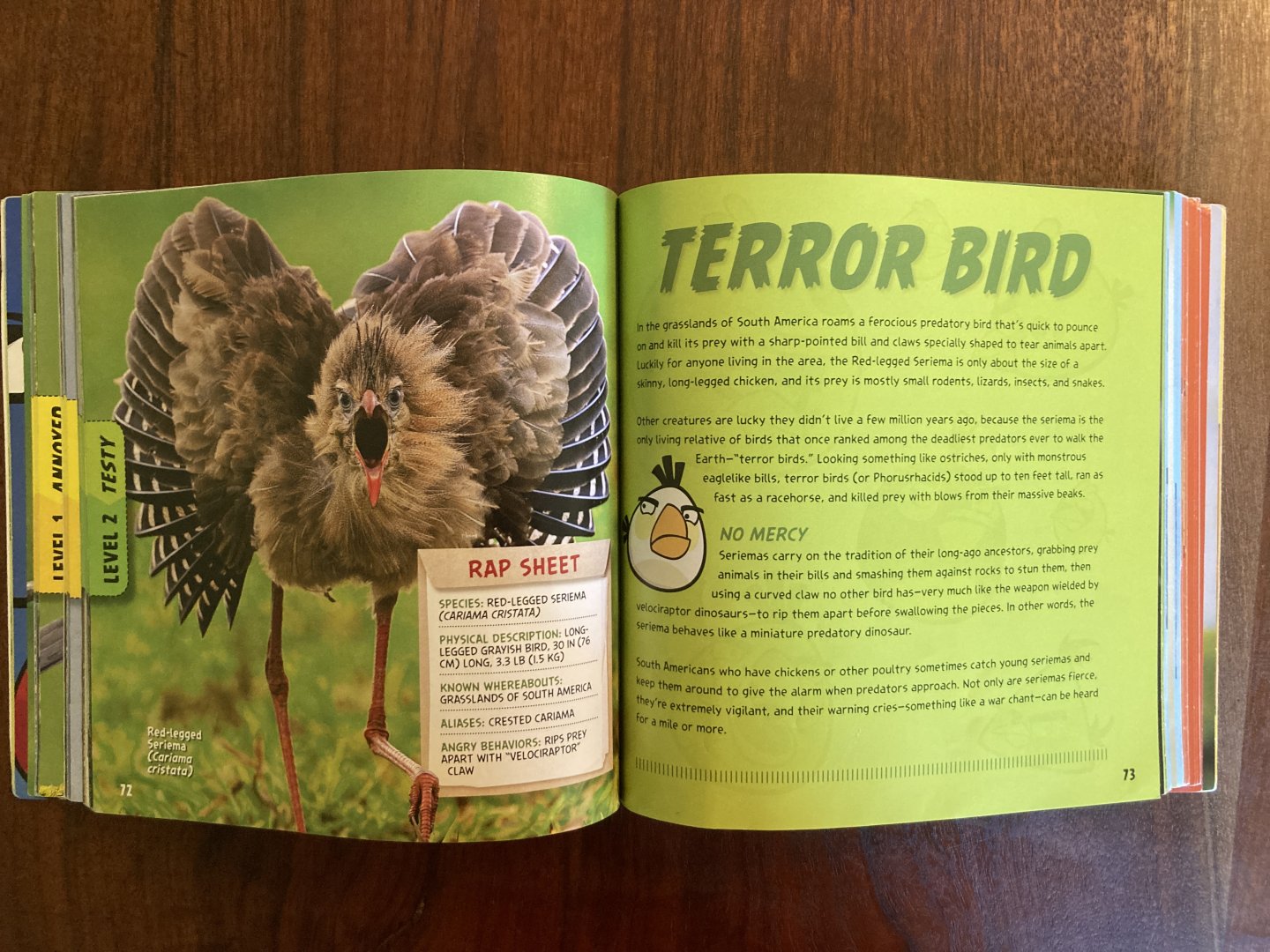 National Geographic Angry Birds—Red-legged Seriema