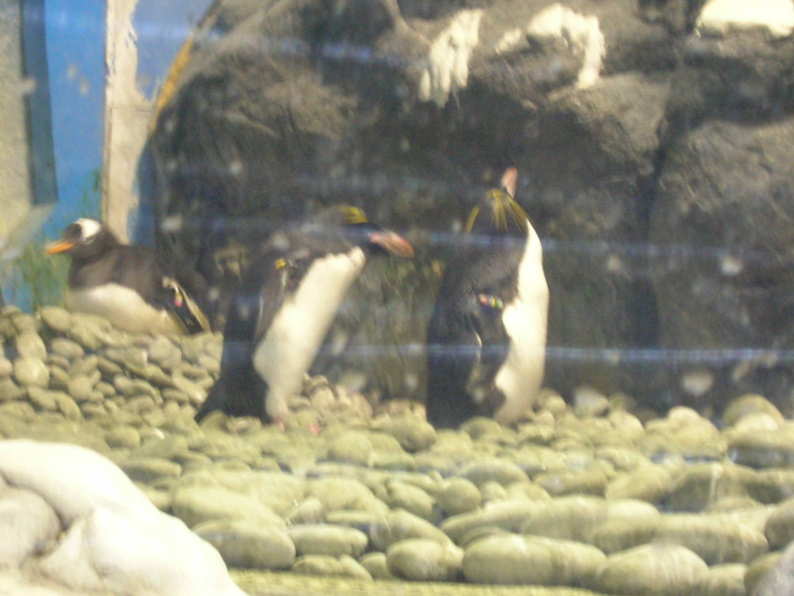 National Museum of Marine Biology and Aquarium