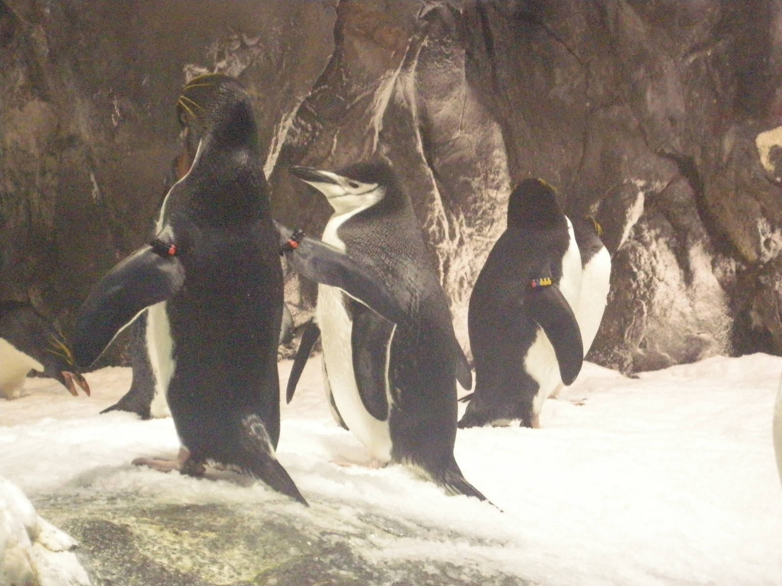 National Museum of Marine Biology and Aquarium