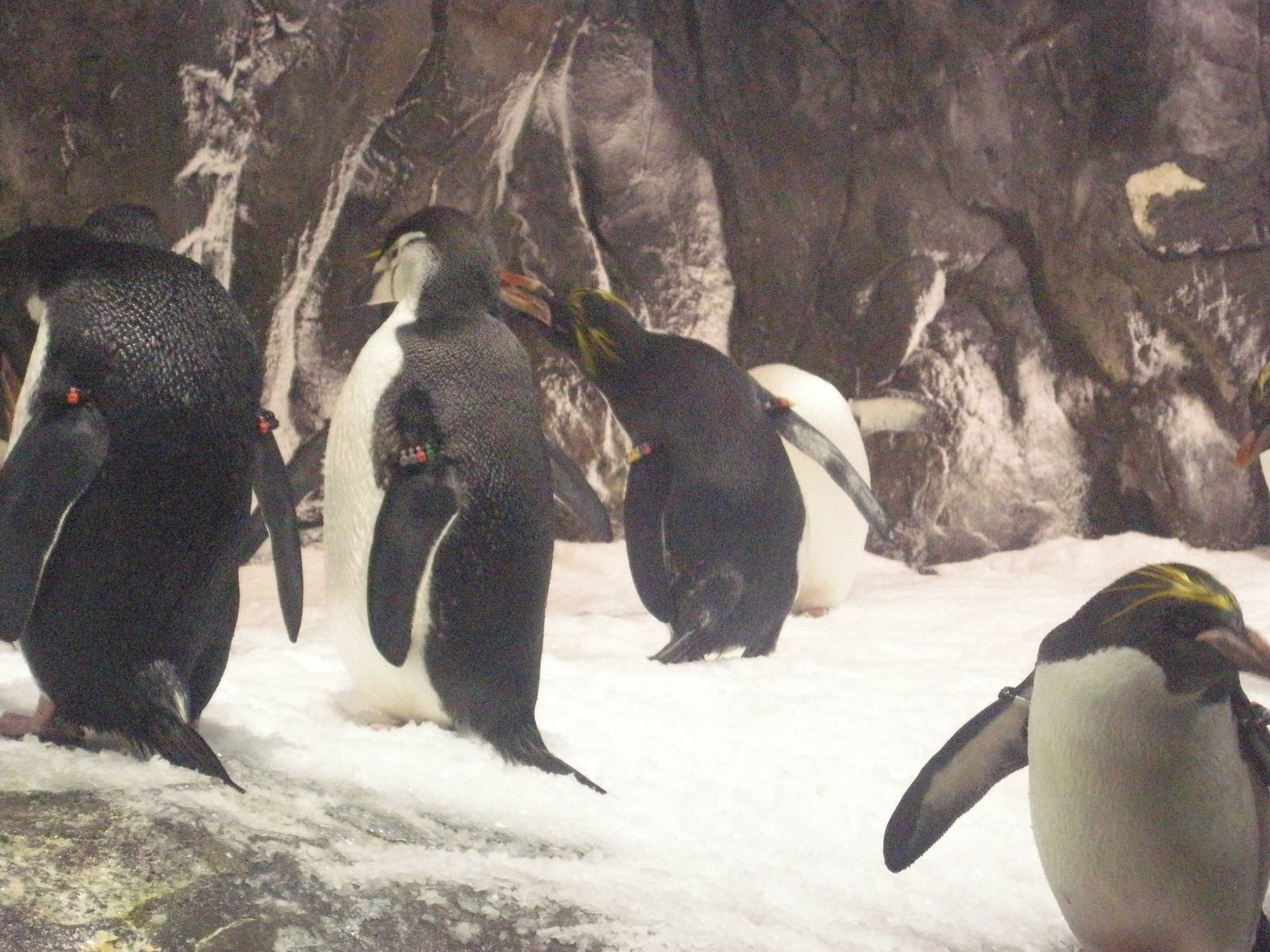 National Museum of Marine Biology and Aquarium