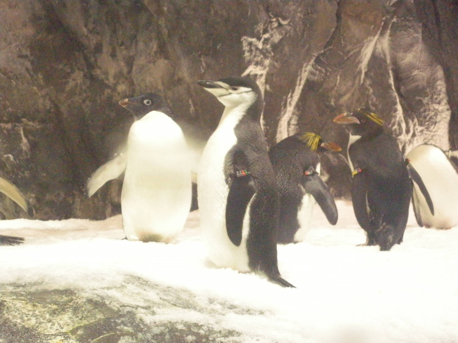 National Museum of Marine Biology and Aquarium