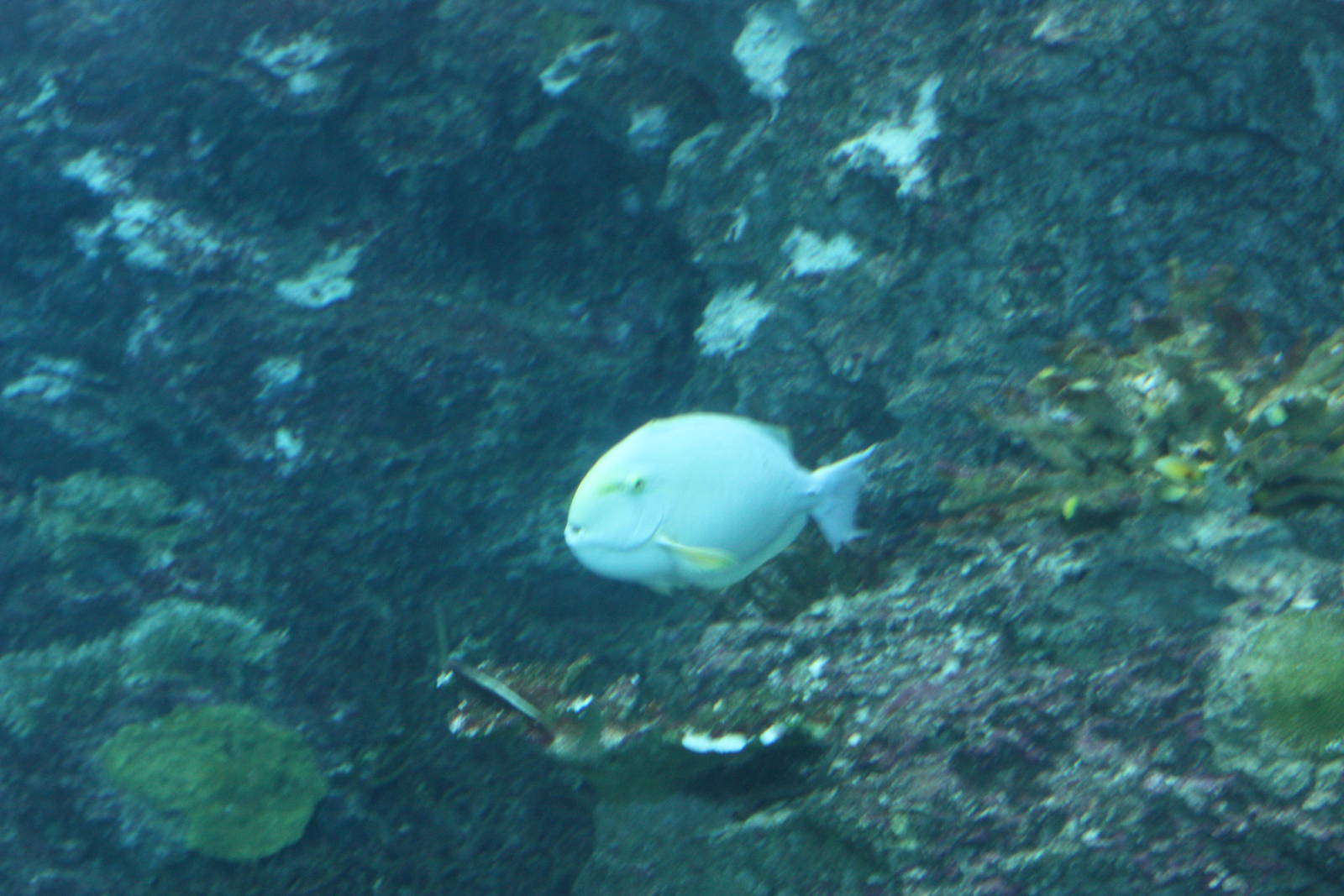 National Museum of Marine Biology and Aquarium
