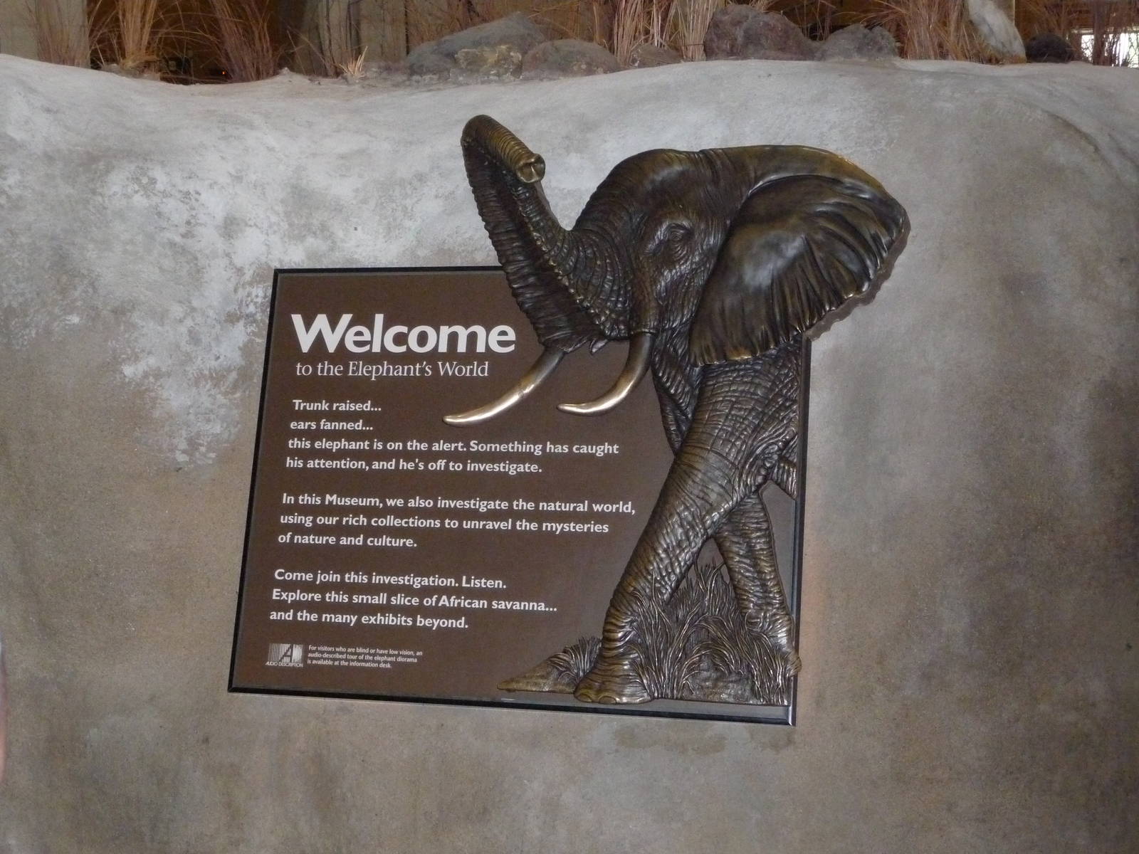 National Museum of Natural History