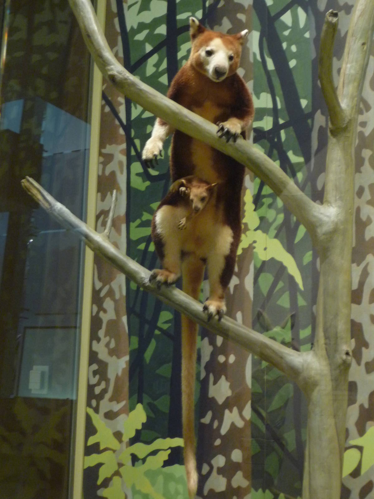 National Museum of Natural History