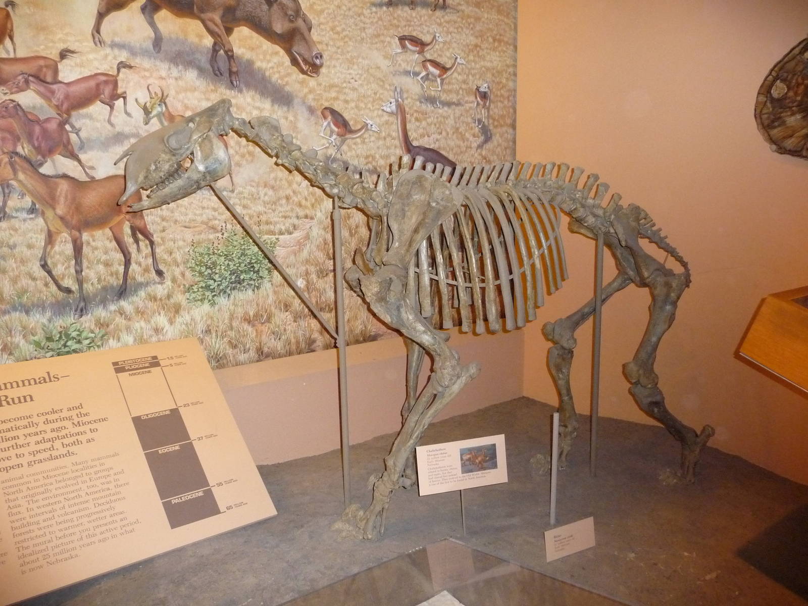 National Museum of Natural History