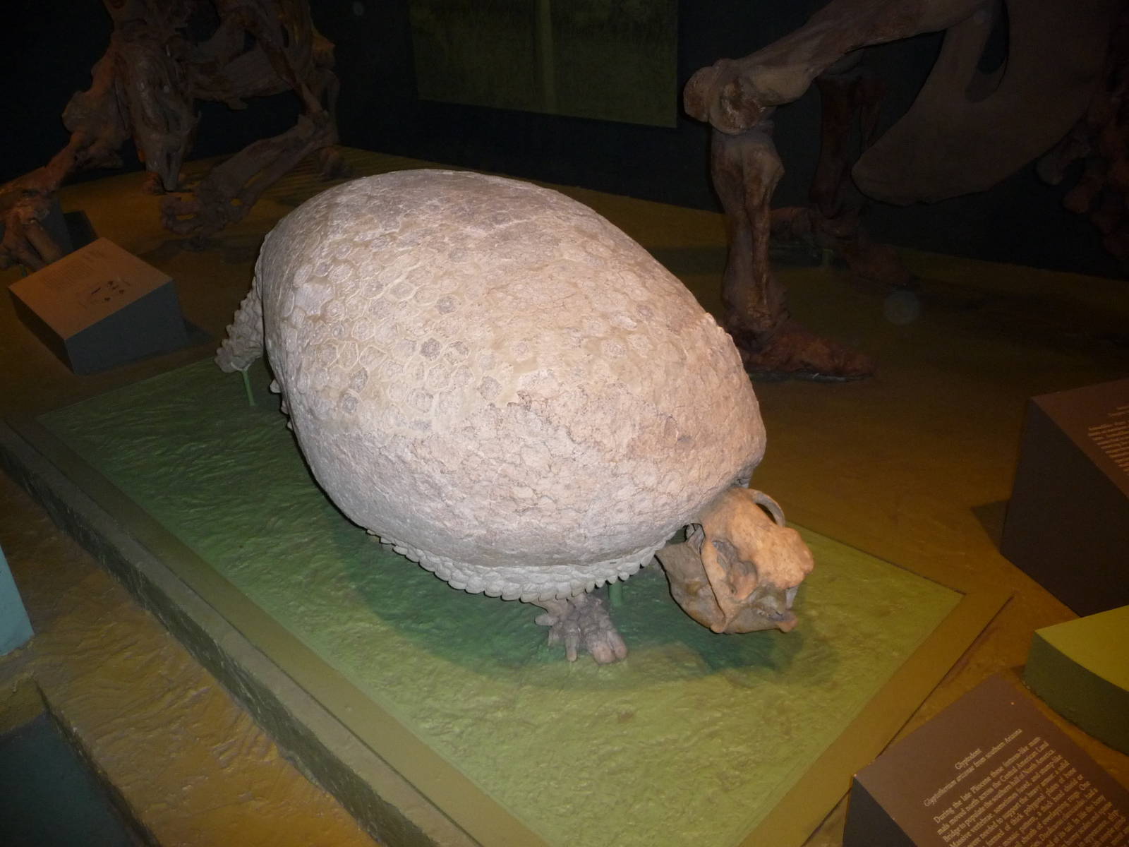 National Museum of Natural History