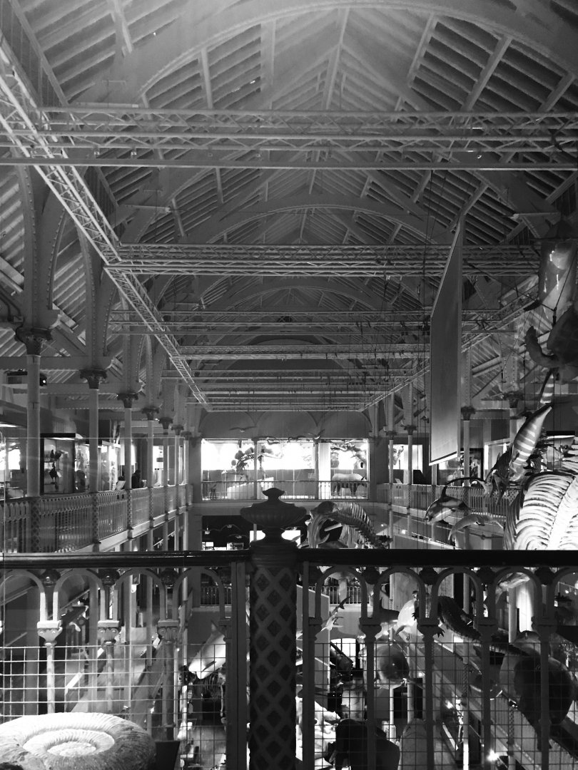 National Museum of Scotland: general view