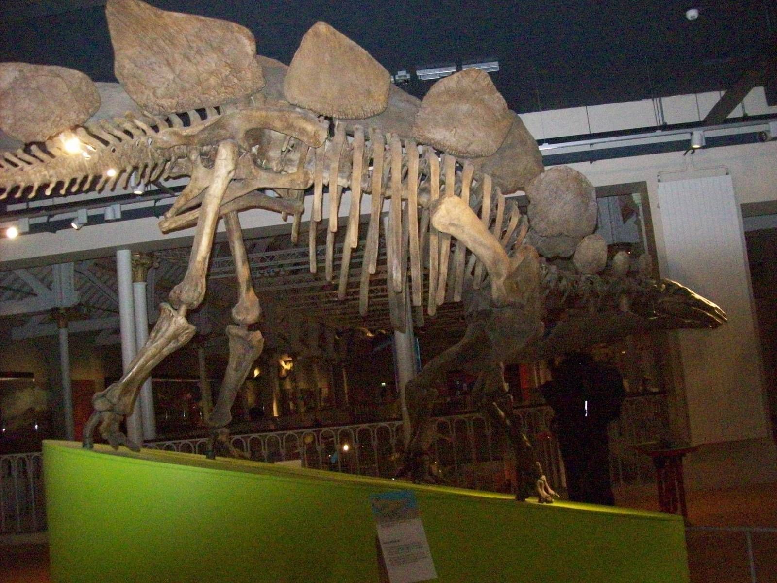 national museum of scotland