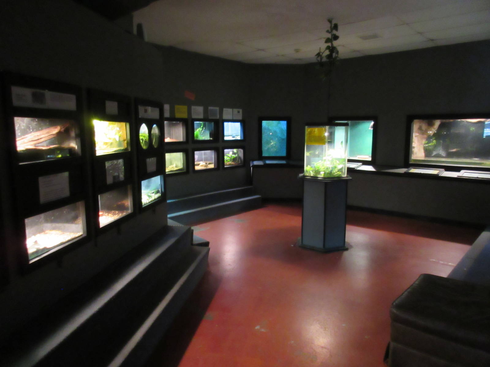 National Park Aquarium (Arkansas)