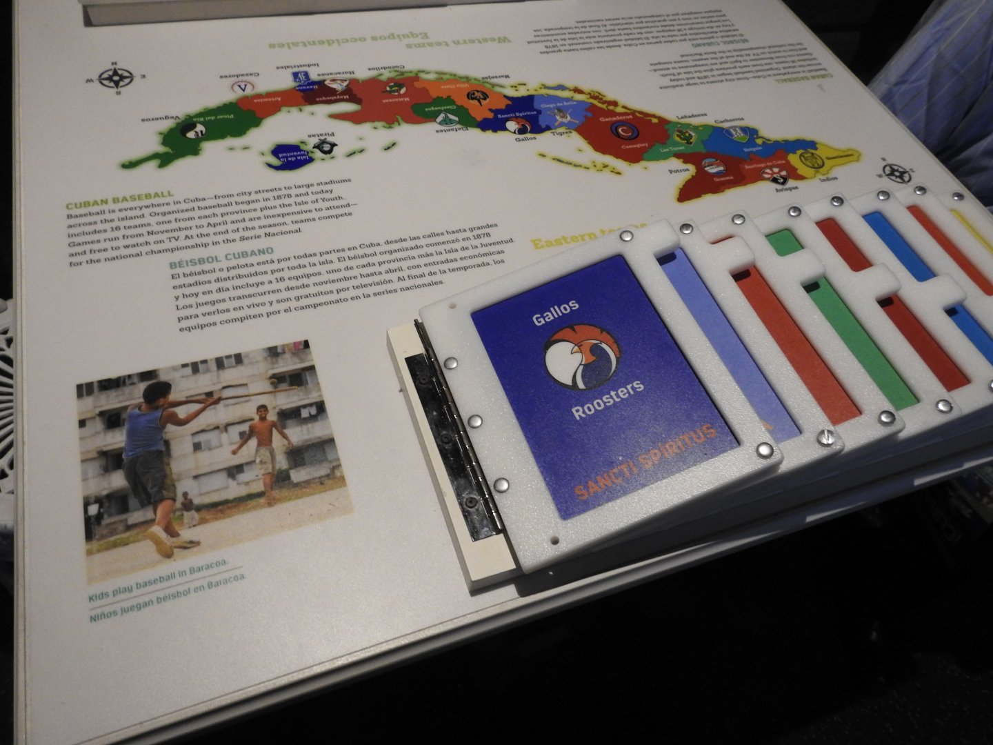 National Sports Teams