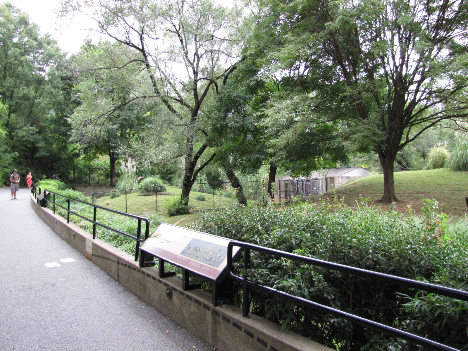National Zoo 2010 - Alongside Cheetah exhibit