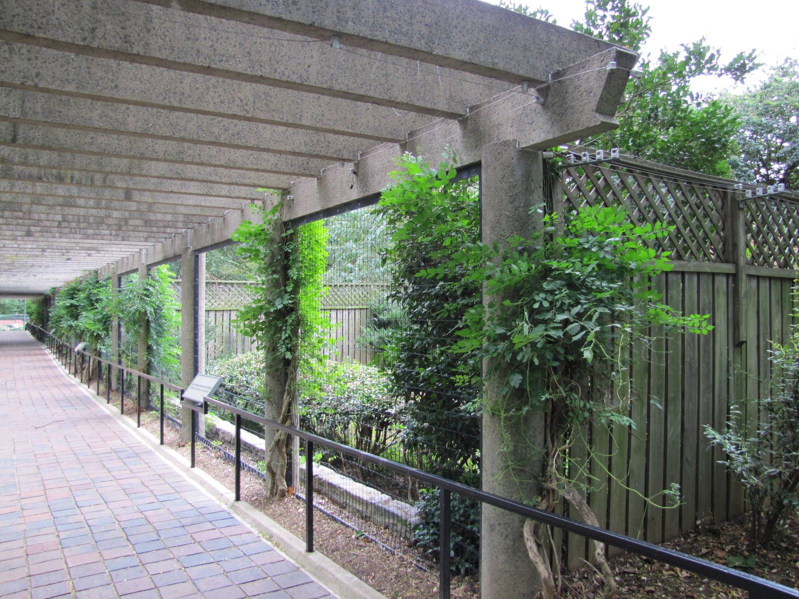 National Zoo 2010 - Crane Line at the Bird House