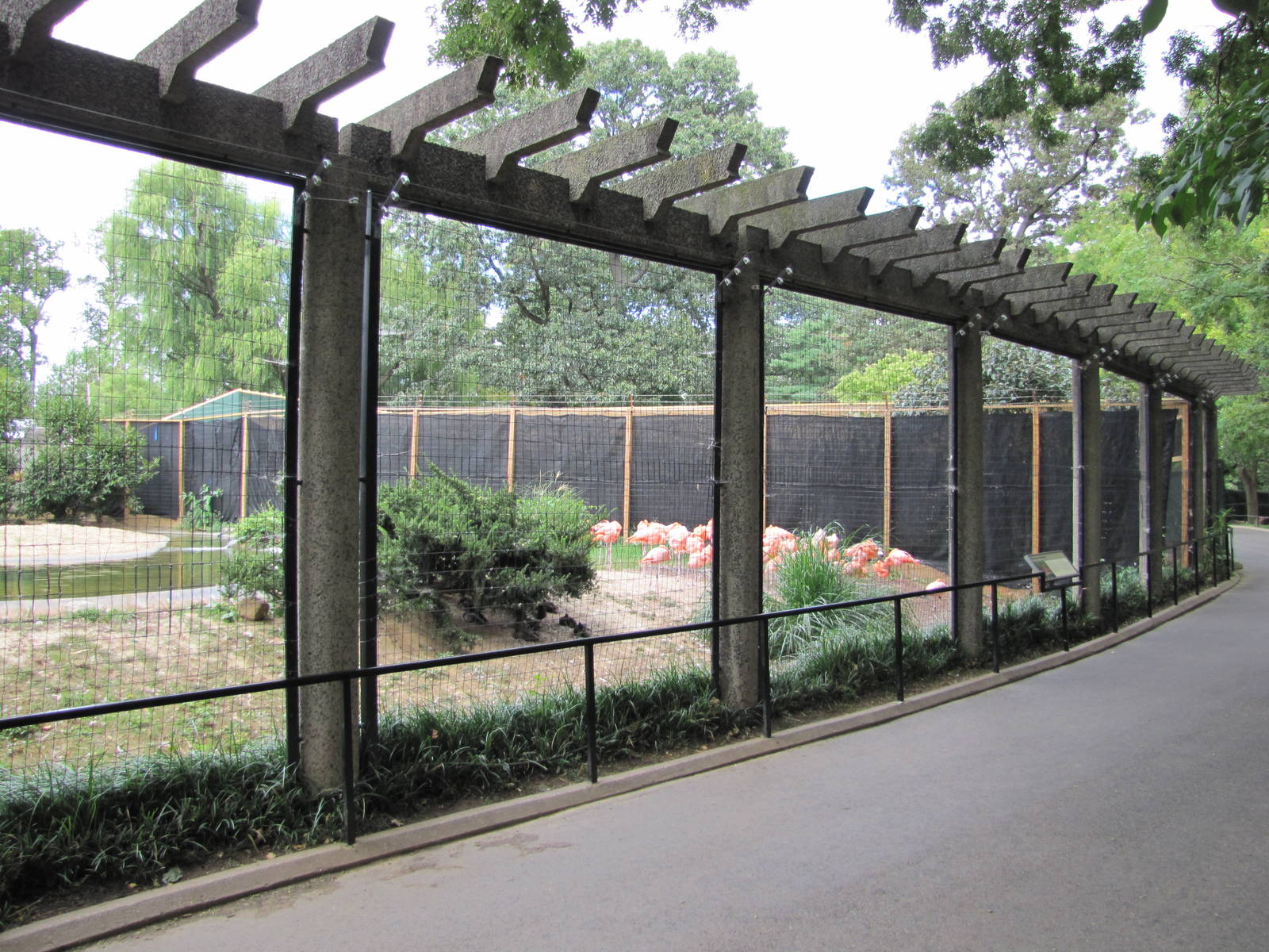 National Zoo 2010 - Crane Line at the Bird House