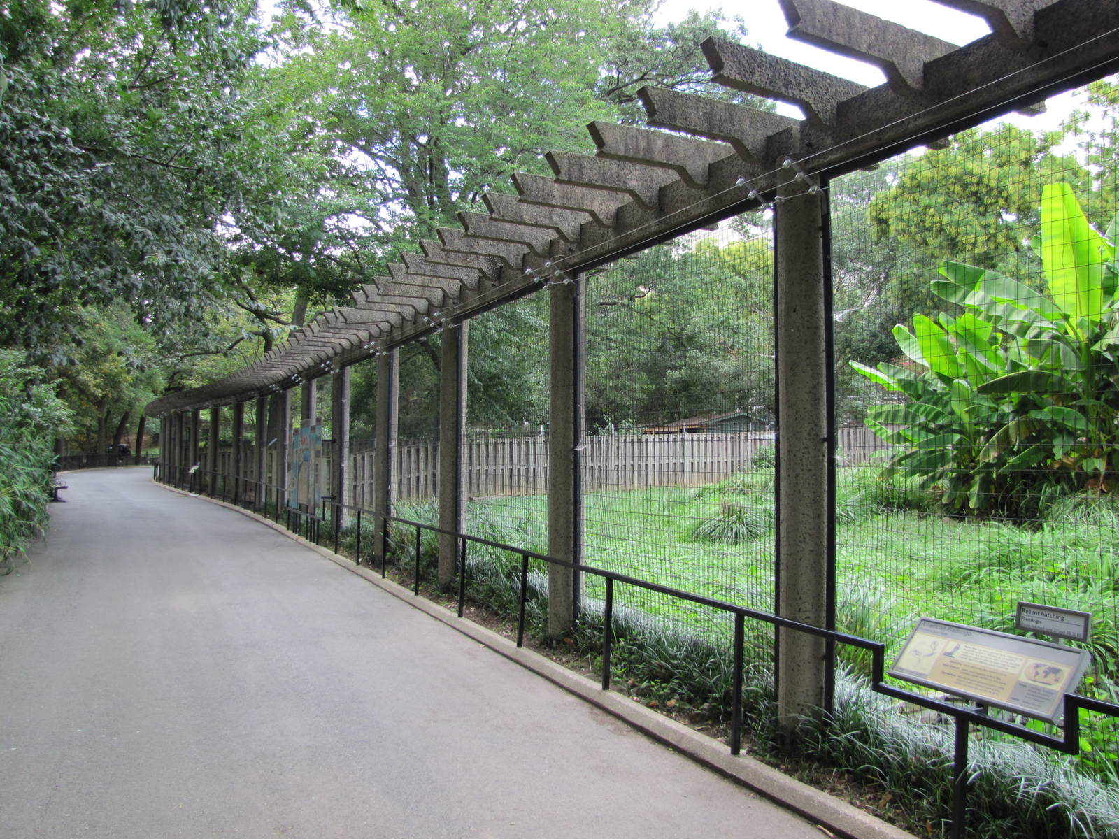 National Zoo 2010 - Crane Line at the Bird House