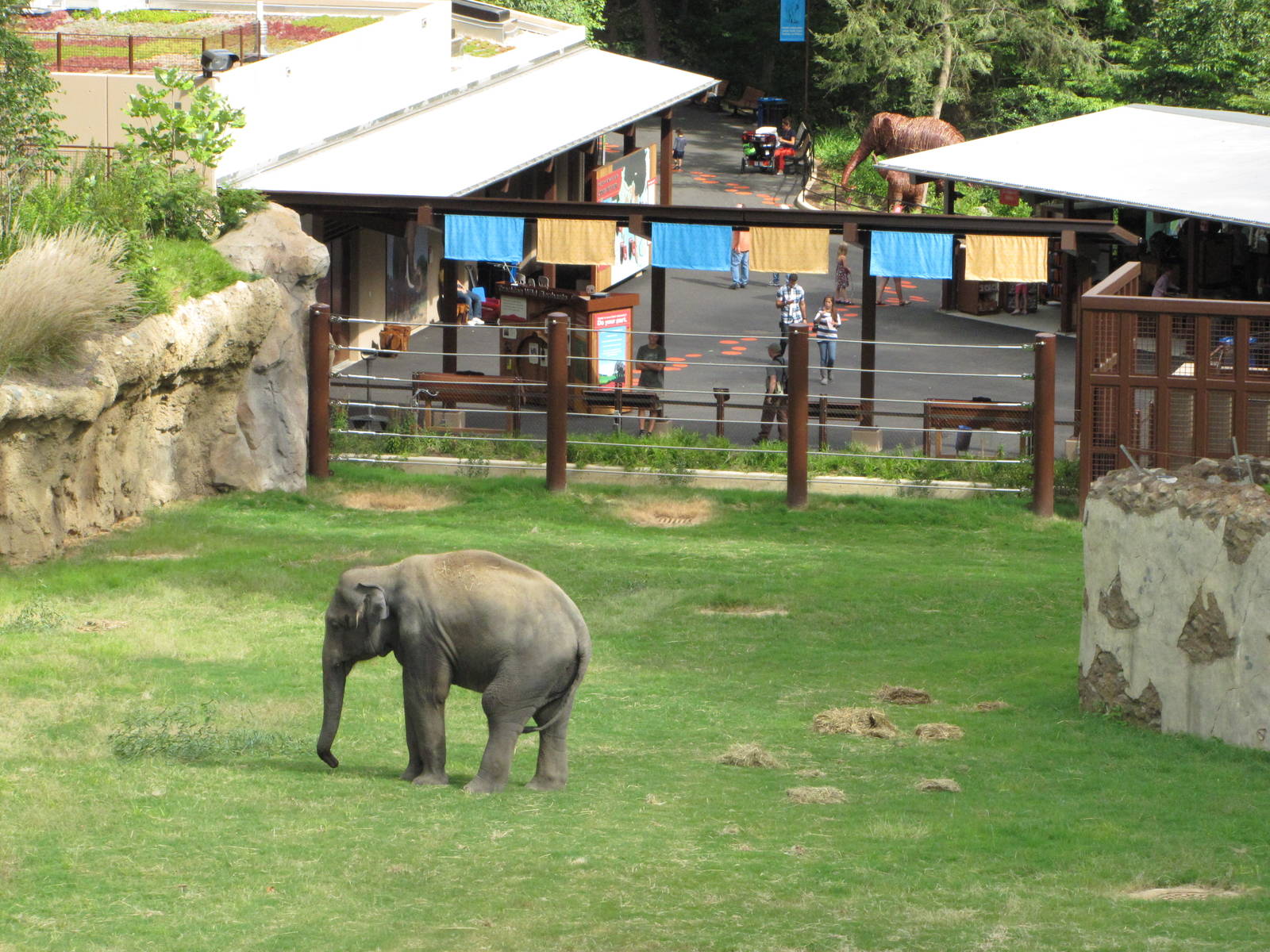 National Zoo 2010 - Elephant Trails exhibit seen from Asia Trail