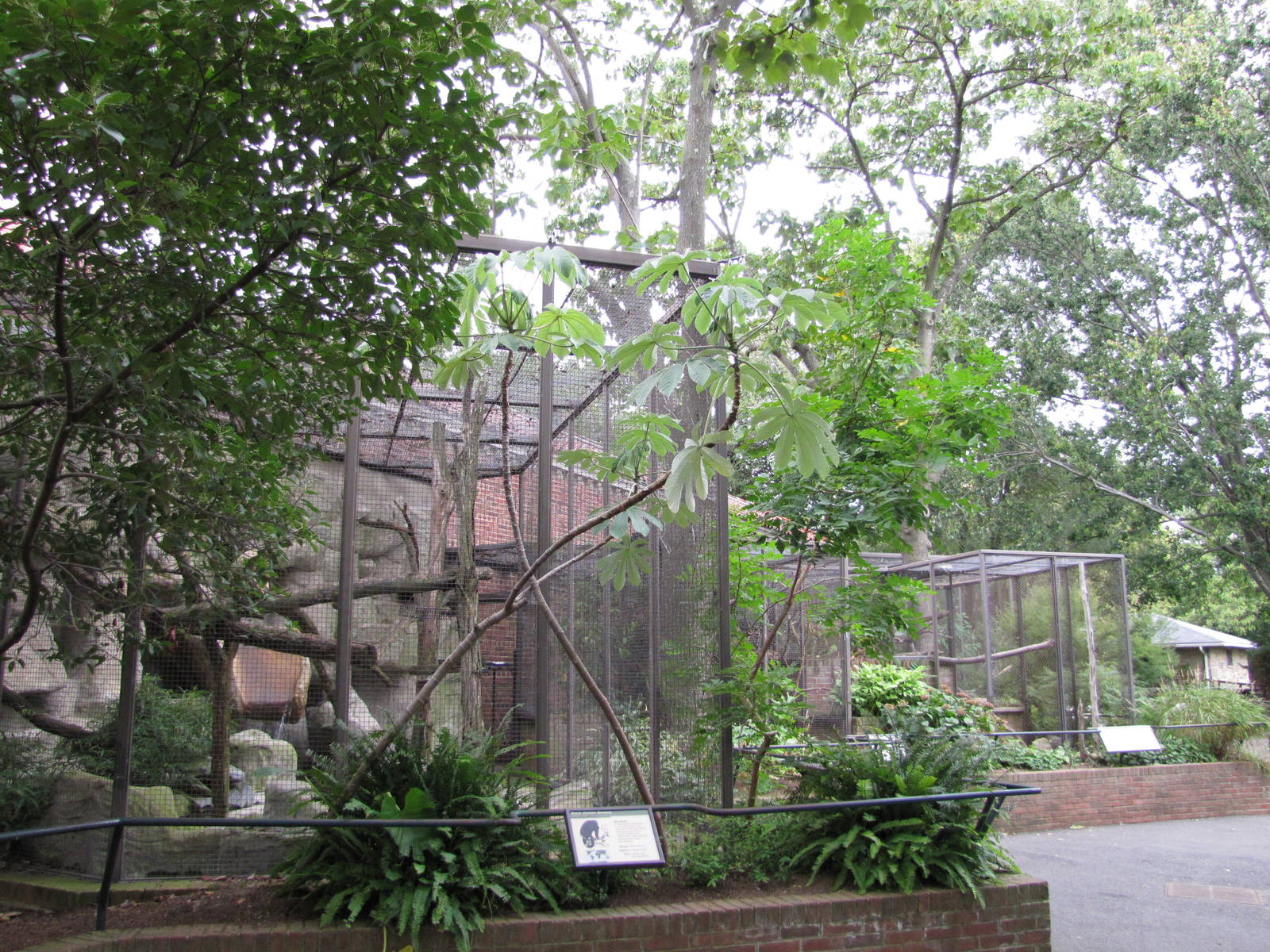 National Zoo 2010 - Enclosures behind the Small Mammal House