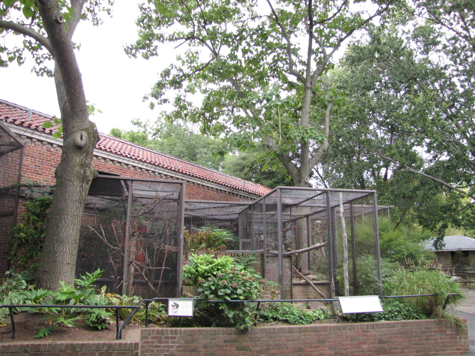 National Zoo 2010 - Enclosures behind the Small Mammal House