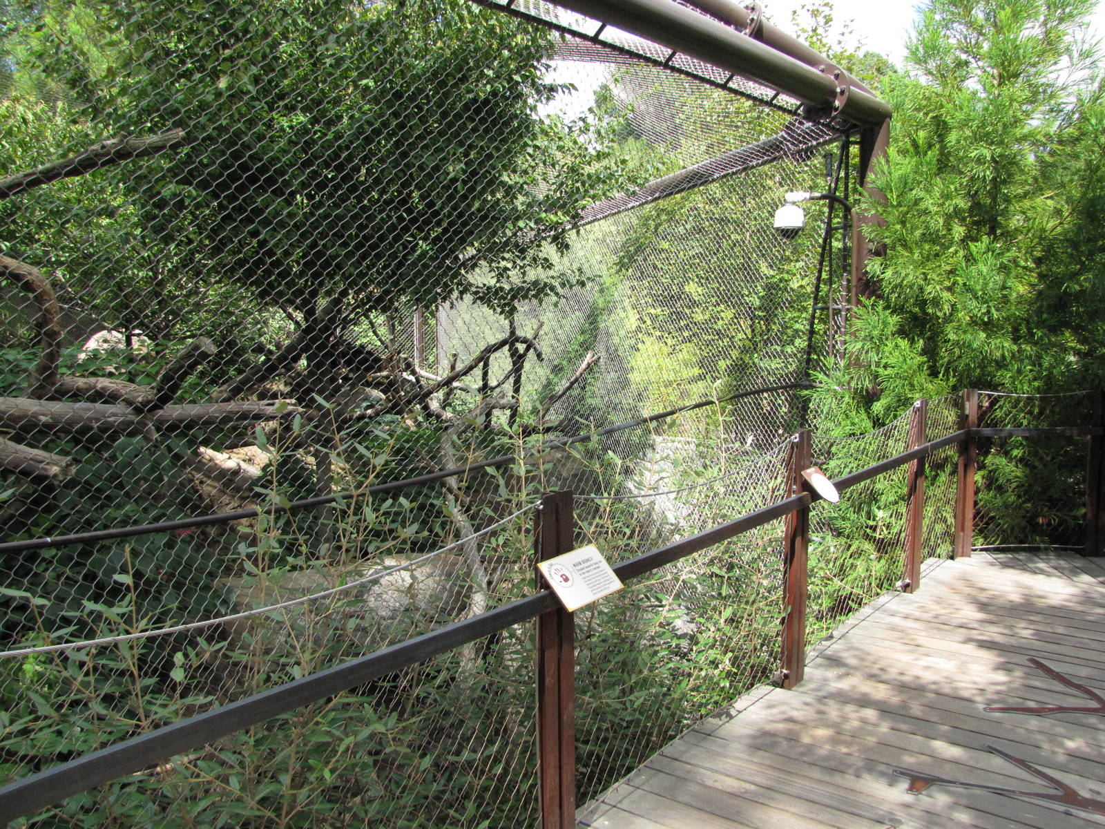 National Zoo 2010 - Front of Clouded Leopard enclosure in Asia Trail