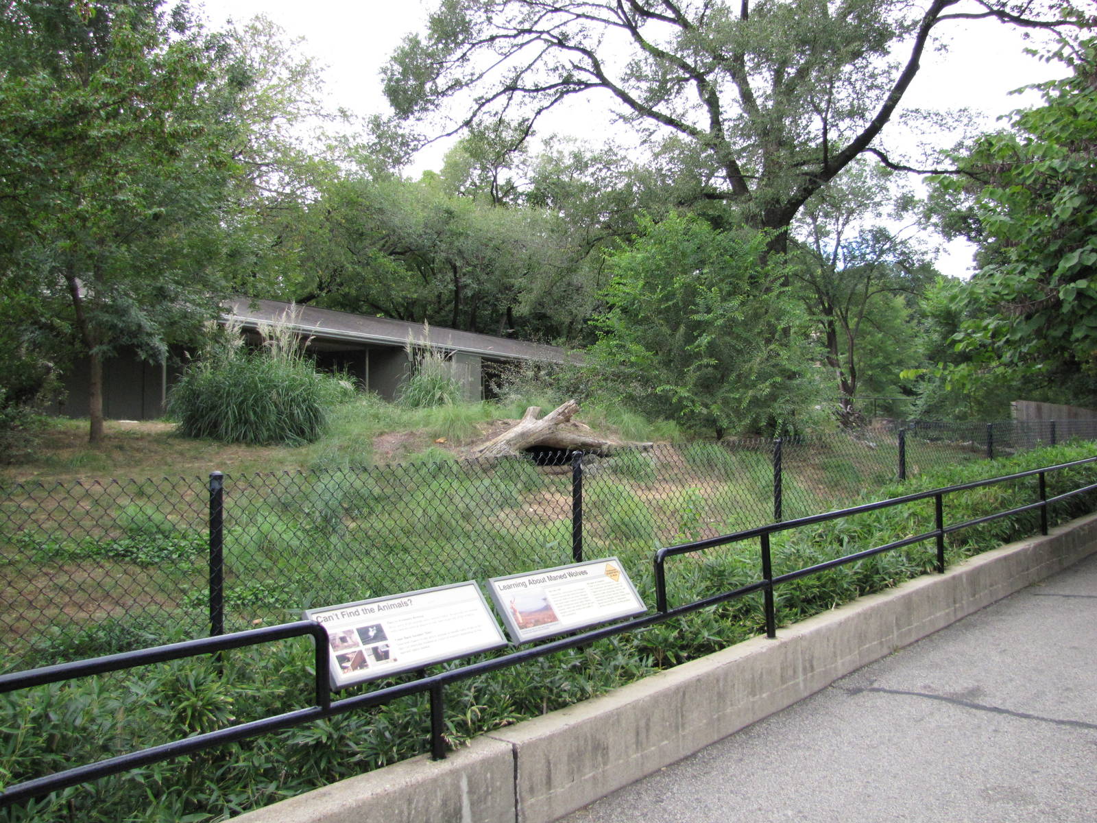 National Zoo 2010 - Front of Maned Wolf exhibit
