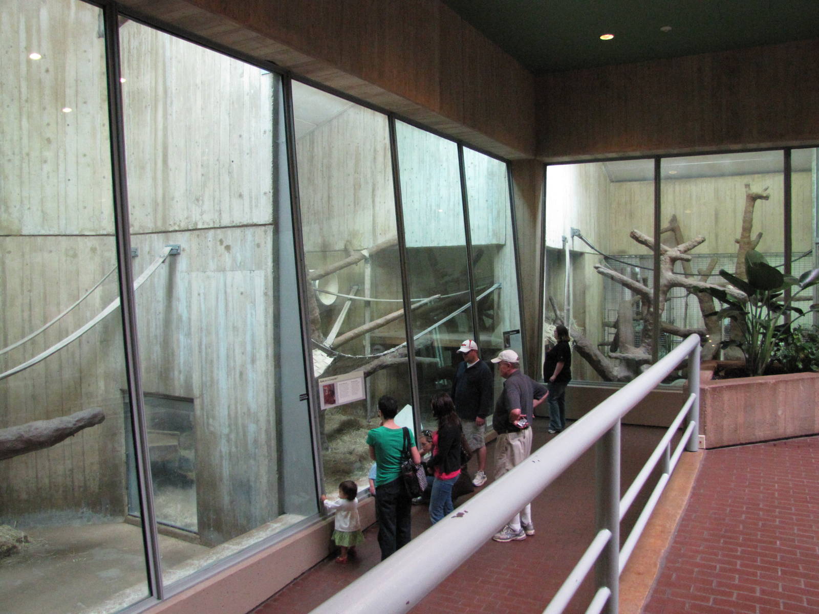 National Zoo 2010 - Front of Orangutan indoor exhibits in Great Ape House